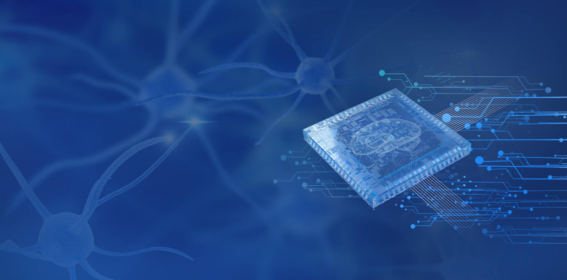 与你一起迈向‘芯’未来